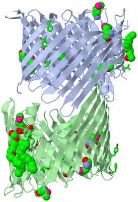 Image Biol. Unit 1 - sites