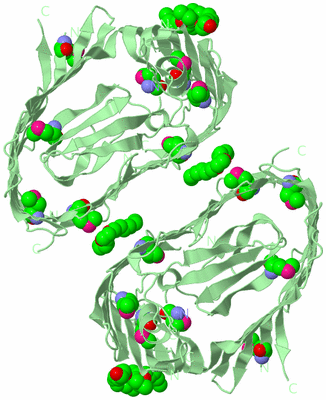 Image Biological Unit 3