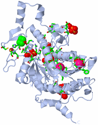 Image Biol. Unit 1 - sites