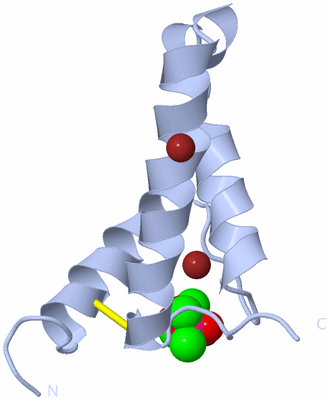 Image Biological Unit 1