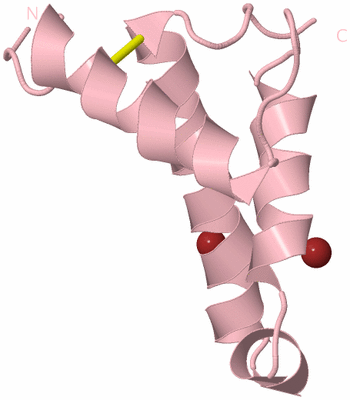 Image Biological Unit 3