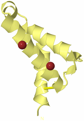 Image Biological Unit 4