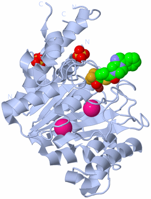 Image Biological Unit 1