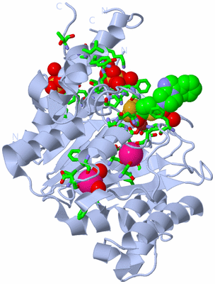 Image Biol. Unit 1 - sites