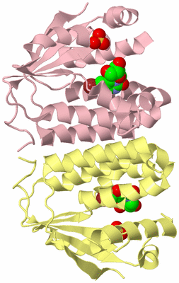 Image Biological Unit 2