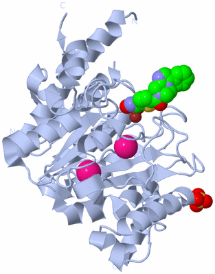 Image Biological Unit 1