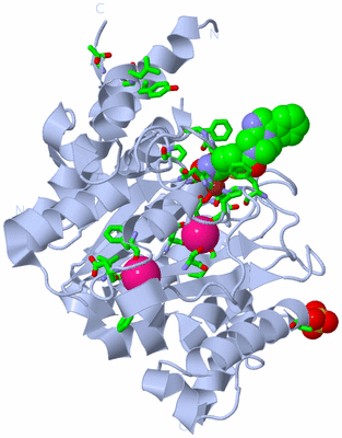 Image Biol. Unit 1 - sites