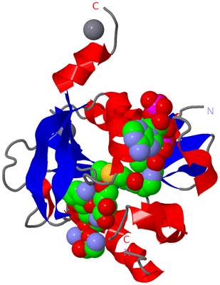 Image Asym./Biol. Unit