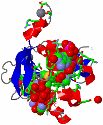 Image Asym./Biol. Unit - sites