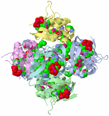 Image Asym./Biol. Unit