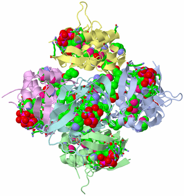 Image Asym./Biol. Unit - sites