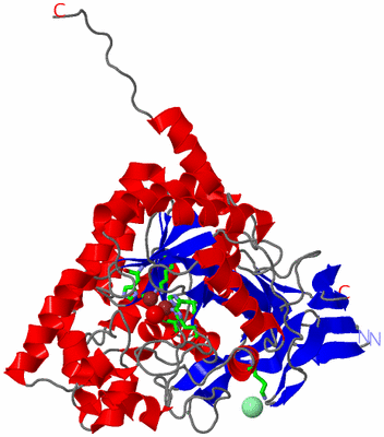 Image Asym. Unit - sites