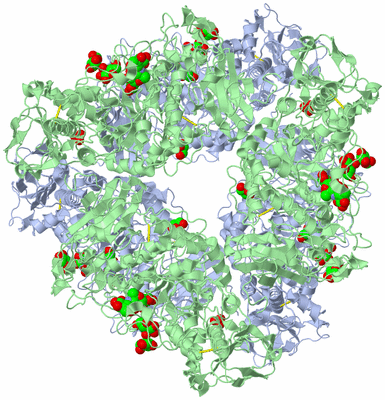 Image Biological Unit 1