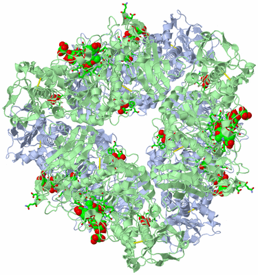 Image Biol. Unit 1 - sites