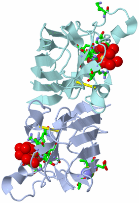 Image Asym./Biol. Unit - sites