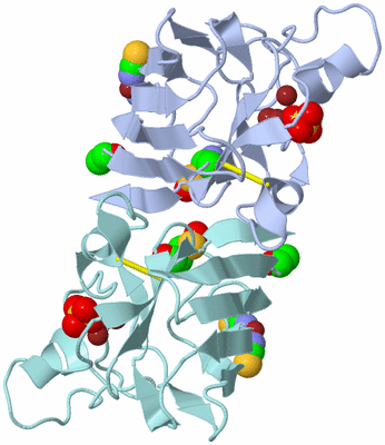 Image Asym./Biol. Unit