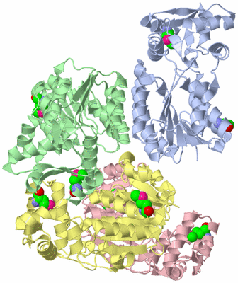 Image Asym./Biol. Unit