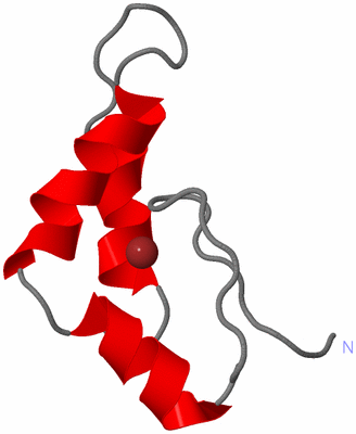 Image NMR Structure - model 1