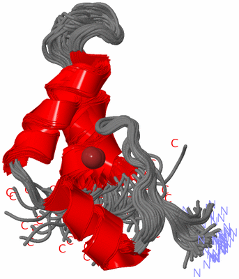 Image NMR Structure - all models