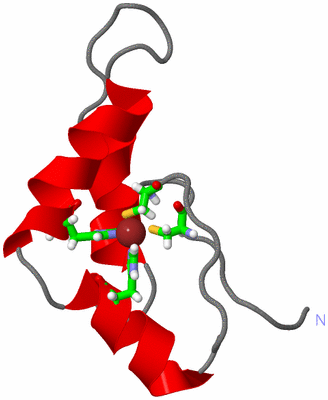 Image NMR Structure - model 1, sites
