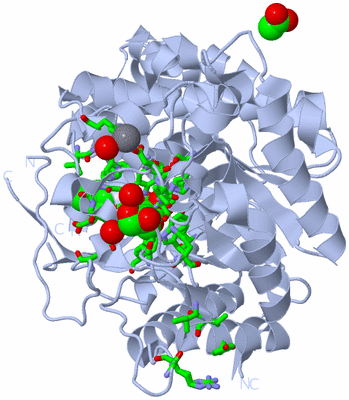 Image Biol. Unit 1 - sites