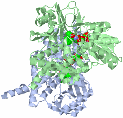 Image Asym./Biol. Unit