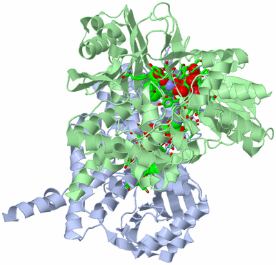 Image Asym./Biol. Unit - sites