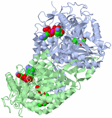 Image Asym./Biol. Unit