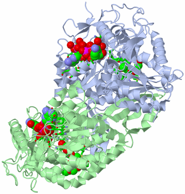 Image Asym./Biol. Unit - sites