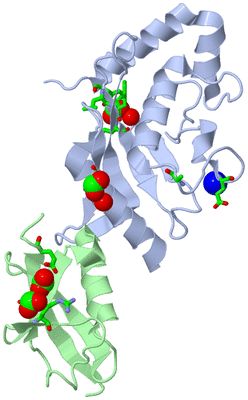 Image Asym./Biol. Unit - sites