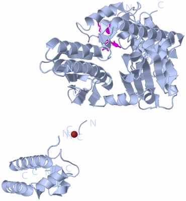 Image Biological Unit 1