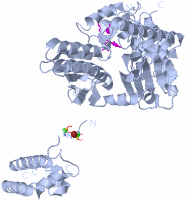 Image Biol. Unit 1 - sites