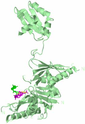 Image Biological Unit 2