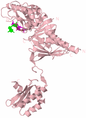 Image Biological Unit 3