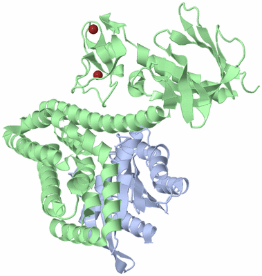 Image Asym./Biol. Unit