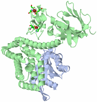 Image Asym./Biol. Unit - sites