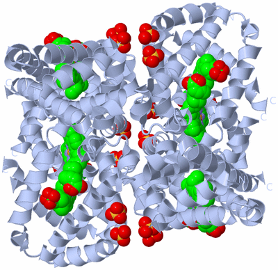 Image Biological Unit 1