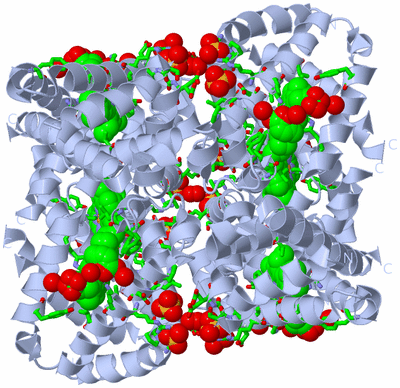 Image Biol. Unit 1 - sites