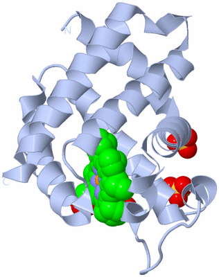 Image Biological Unit 2