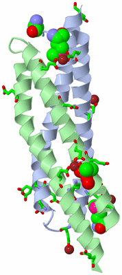 Image Asym./Biol. Unit - sites