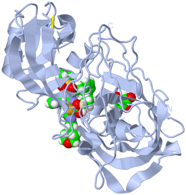 Image Biological Unit 1