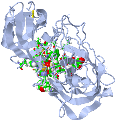 Image Biol. Unit 1 - sites