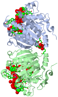 Image Asym./Biol. Unit - sites