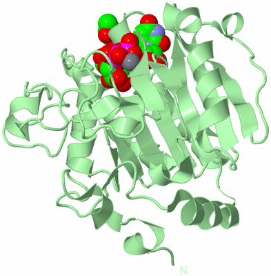 Image Biological Unit 2