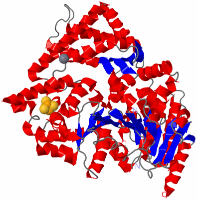 Image Asym./Biol. Unit