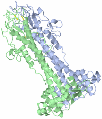 Image Asym./Biol. Unit