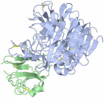 Image Biological Unit 1