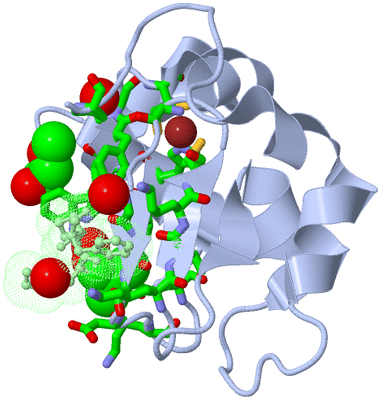 Image Asym./Biol. Unit - sites