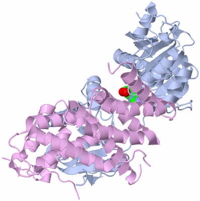 Image Biological Unit 1