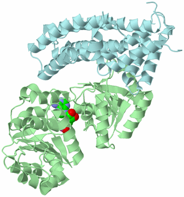 Image Biological Unit 2